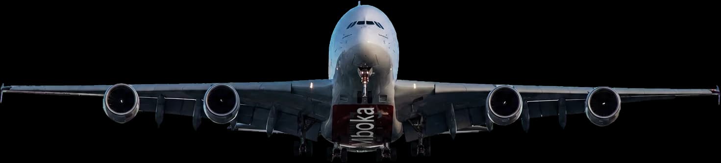 Avion de ligne en vol
